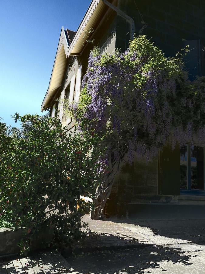 Domaine De Monein Panzió Saint-André-de-Cubzac Kültér fotó